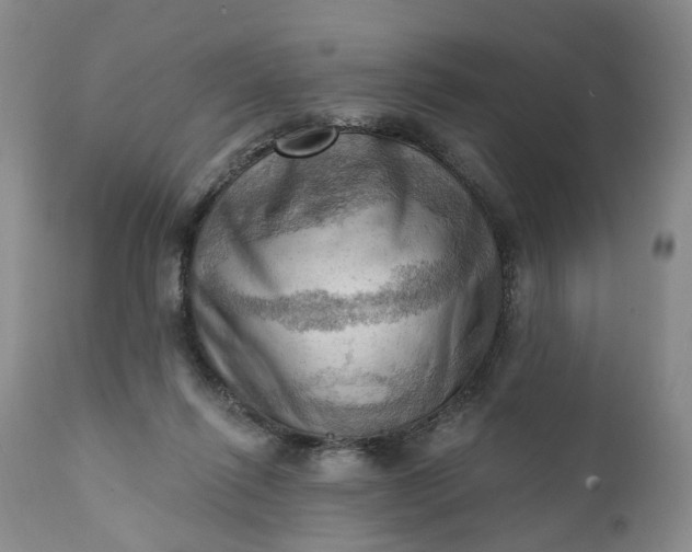 X0000111360262200907241229