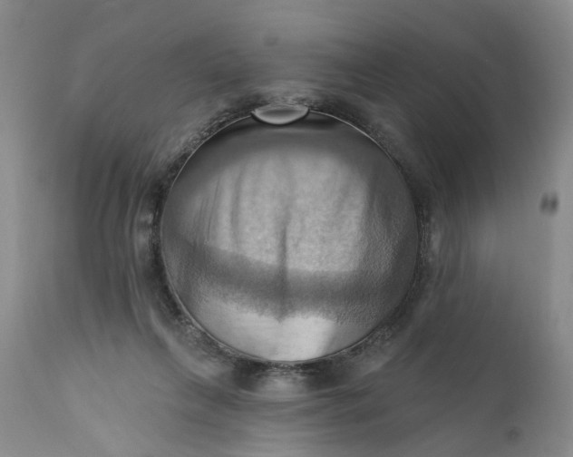 X0000111360263200907241229
