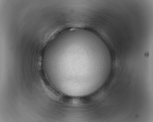X0000111360264200907241229