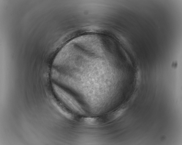 X0000111360265200907241229
