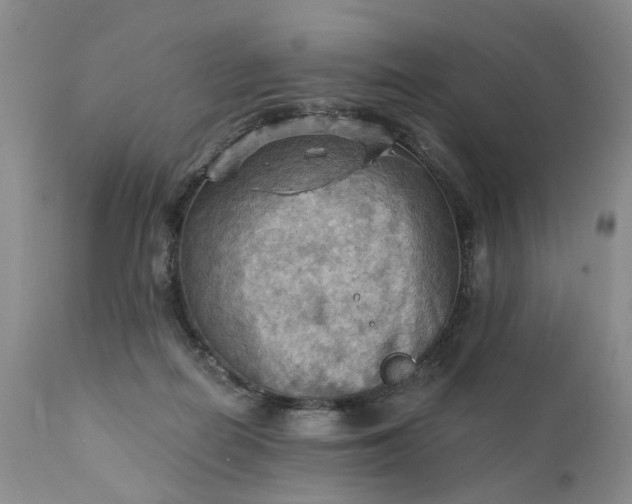 X0000111360266200907241229