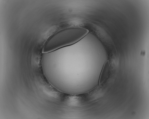 X0000111360268200907241229
