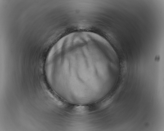 X0000111360269200907241229