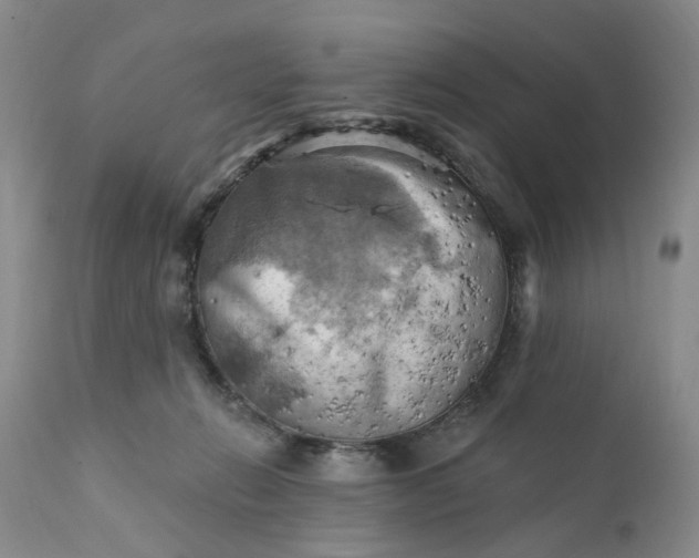 X0000111360270200907241229
