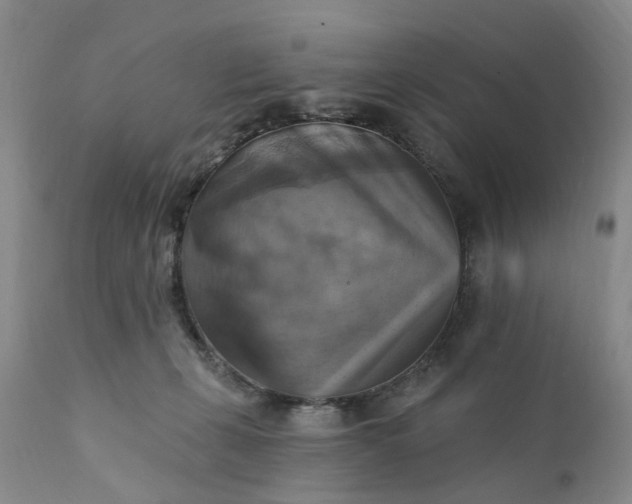 X0000111360271200907241229