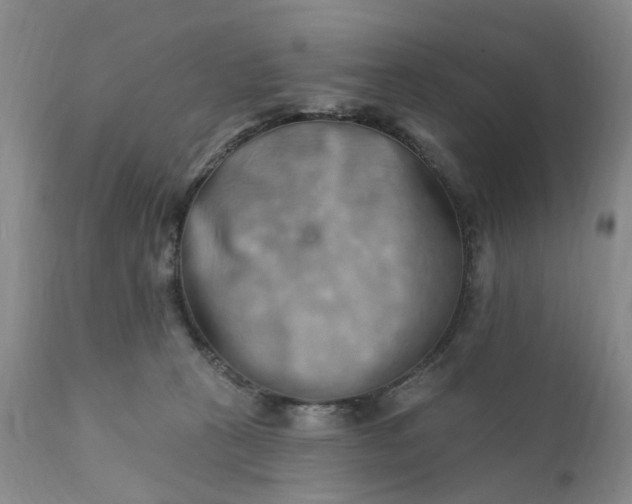 X0000111360273200907241229