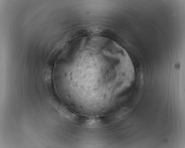X0000111360274200907241229