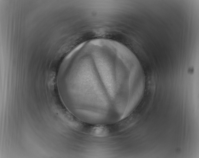 X0000111360275200907241229