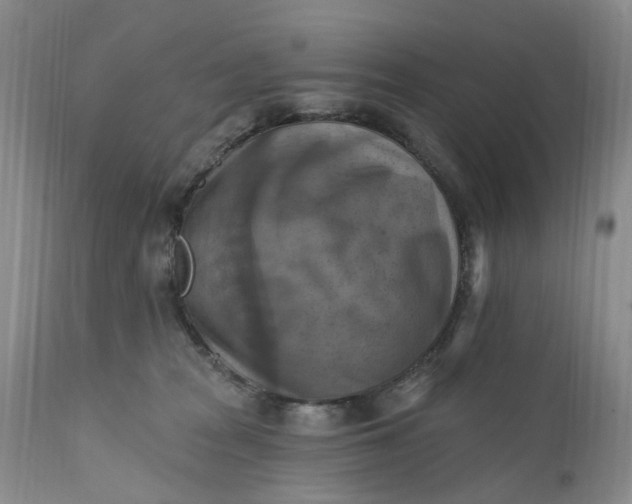 X0000111360277200907241229