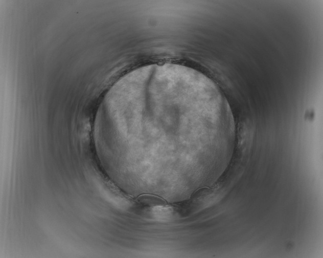 X0000111360279200907241229