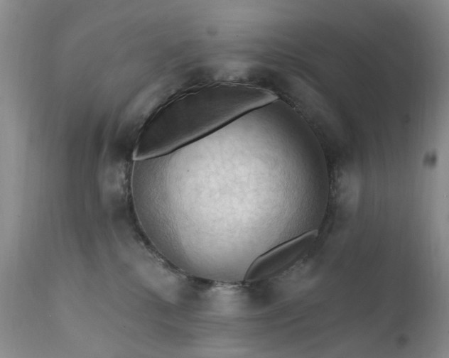 X0000111360280200907241229
