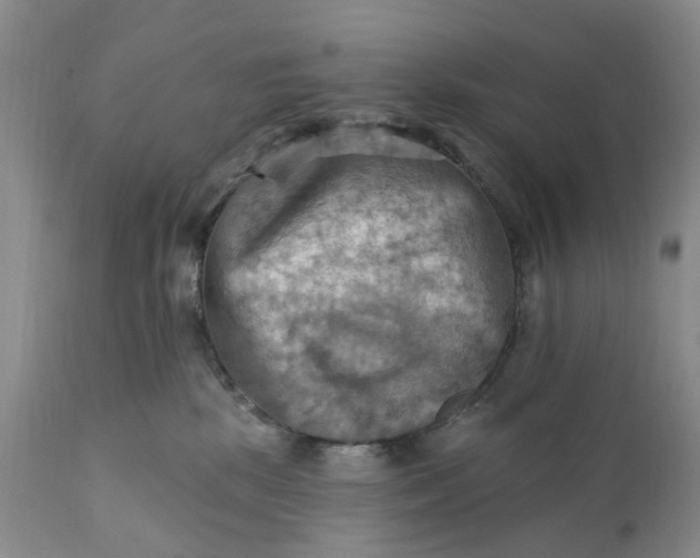 X0000111360281200907241229