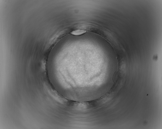 X0000111360282200907241229