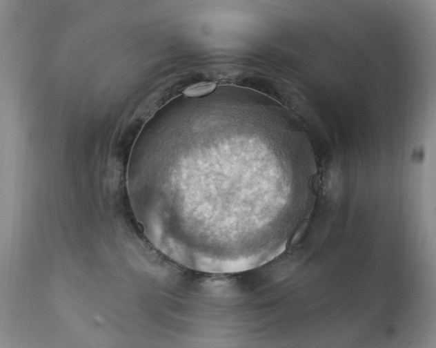 X0000111360283200907241229