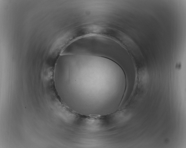 X0000111360284200907241229