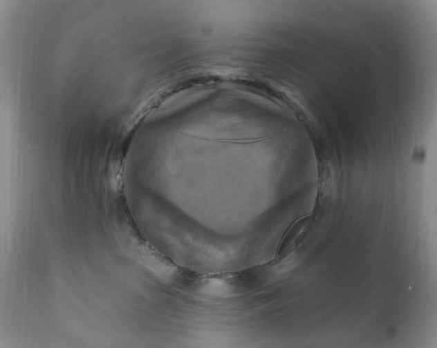 X0000111360285200907241229