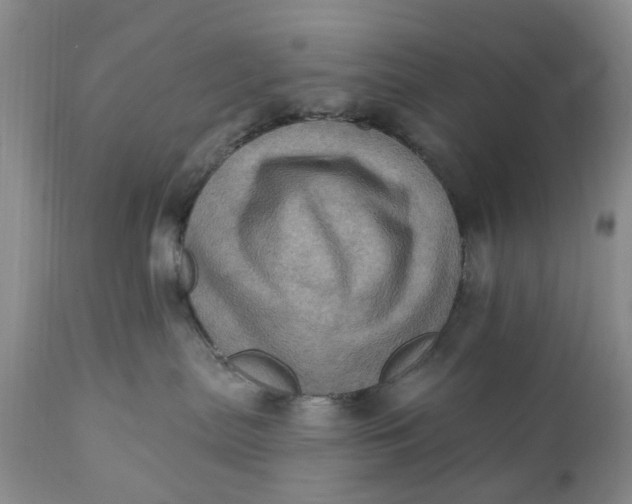 X0000111360287200907241229