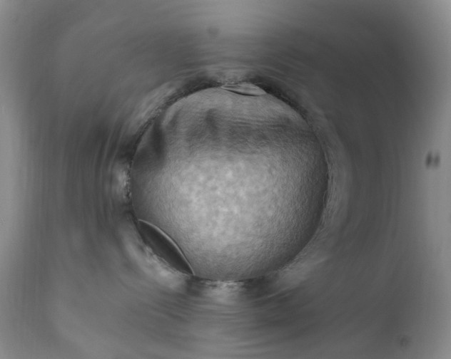 X0000111360288200907241229