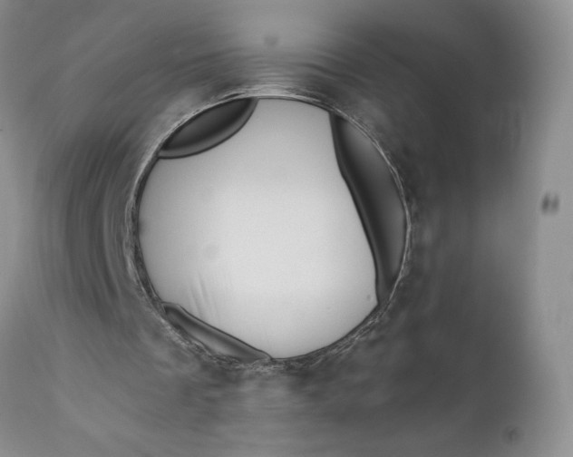 X0000111360289200907241228