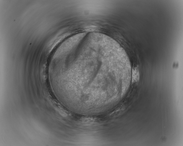 X0000111360291200907241228