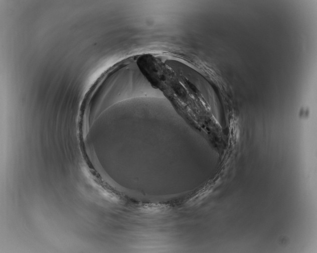 X0000111360292200907241228