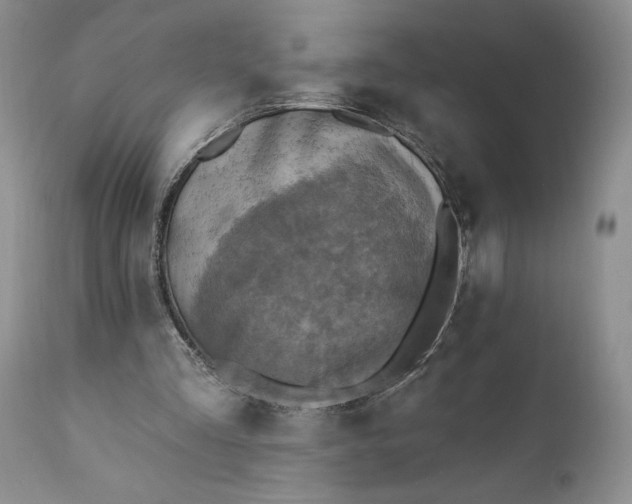 X0000111360293200907241228