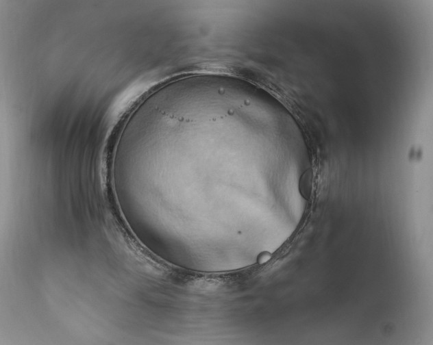 X0000111360294200907241228