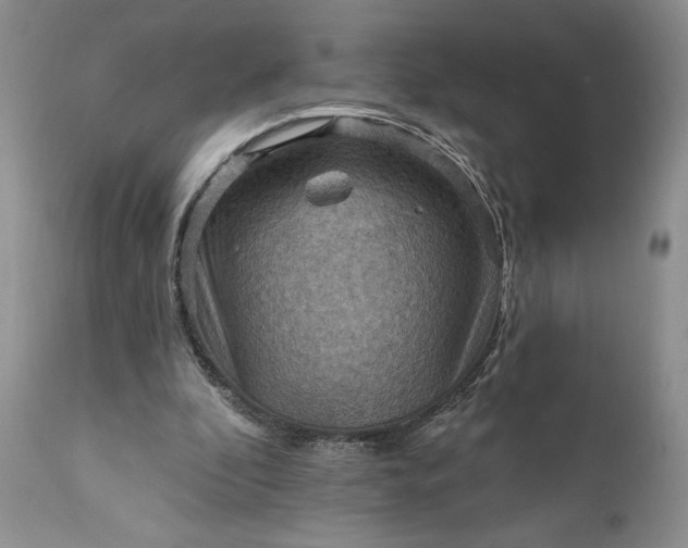 X0000111360296200907241228