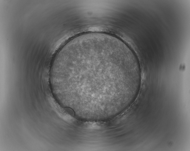X0000111360297200907241228