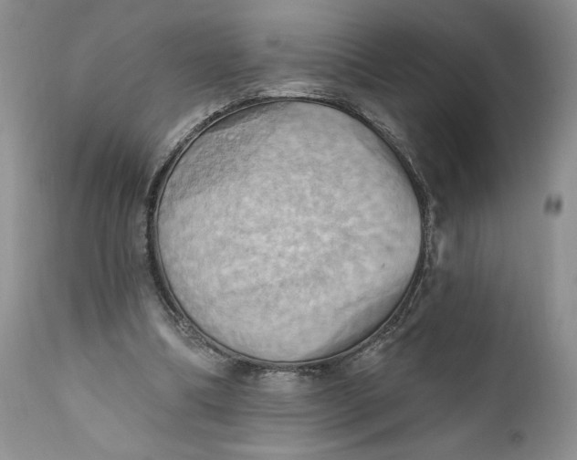 X0000111360298200907241228