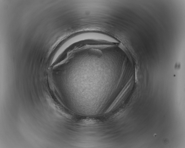 X0000111360300200907241228