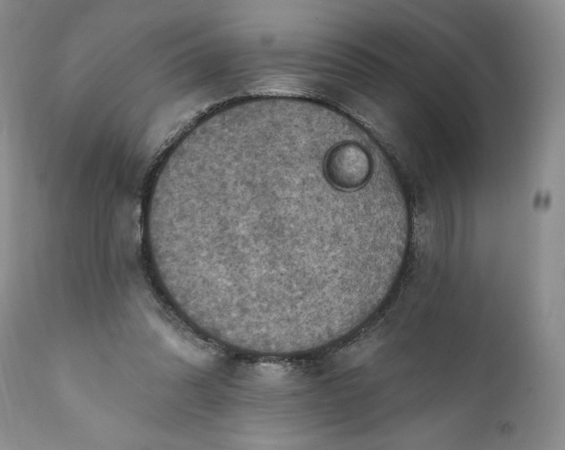 X0000111360302200907241228