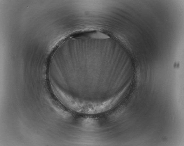 X0000111360303200907241228
