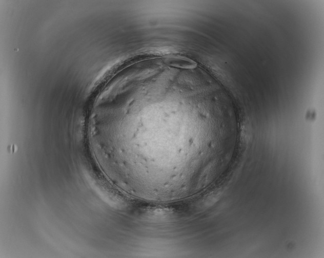 X0000111360304200907241228
