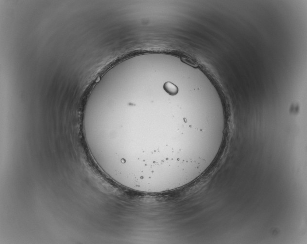 X0000111360305200907241228