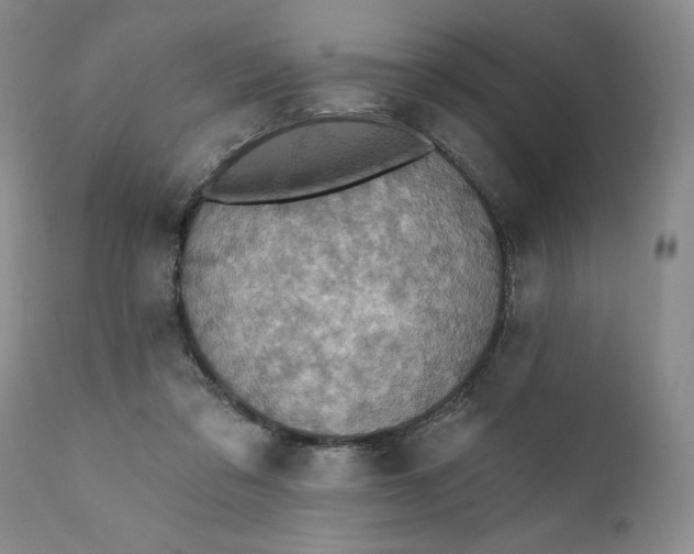 X0000111360309200907241228