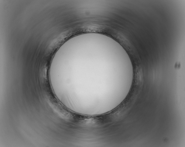 X0000111360310200907241228