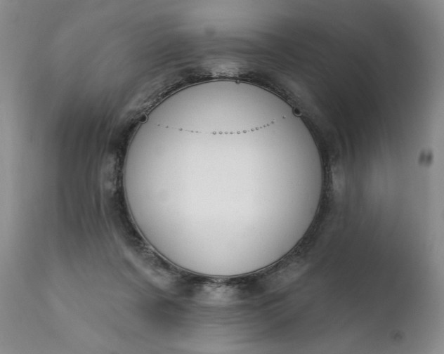 X0000111360311200907241228