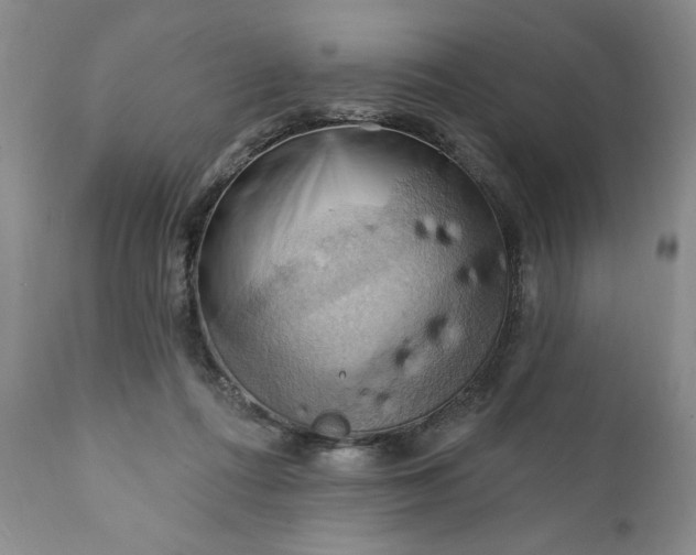 X0000111360312200907241228