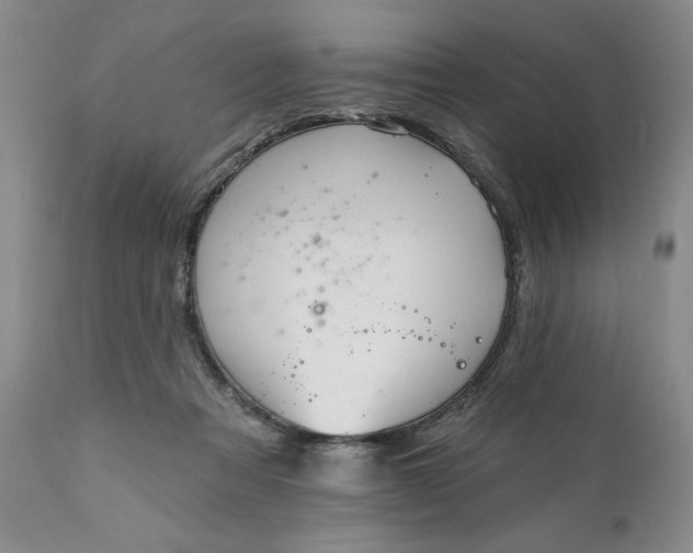 X0000111360313200907241228