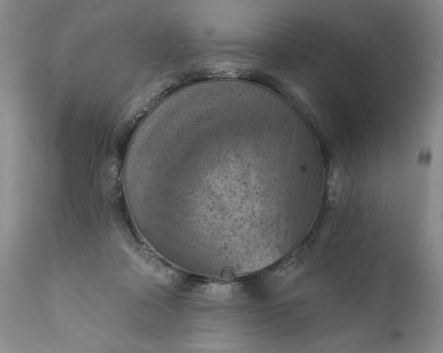 X0000111360314200907241228