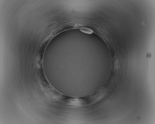 X0000111360316200907241228