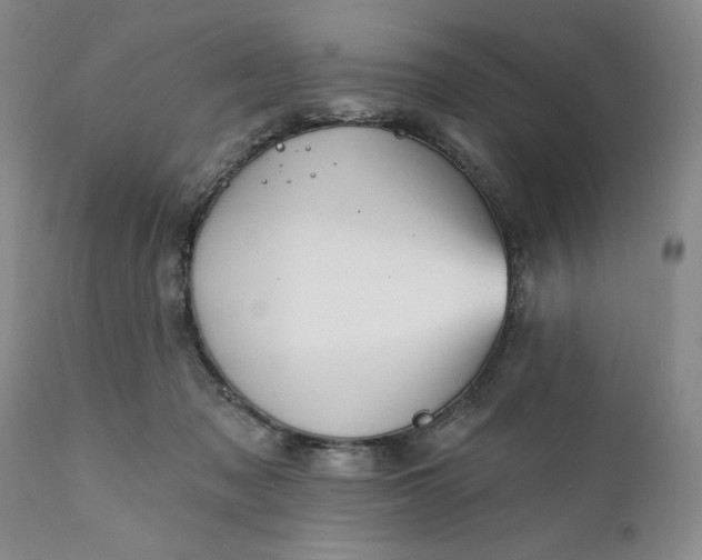 X0000111360317200907241228