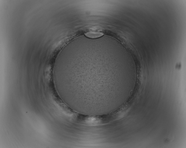 X0000111360319200907241228