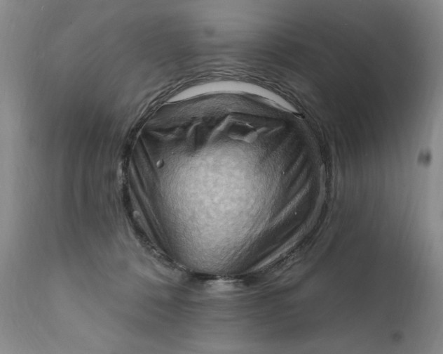 X0000111360320200907241228