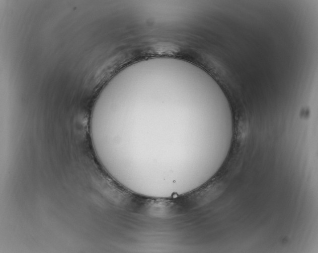 X0000111360321200907241228
