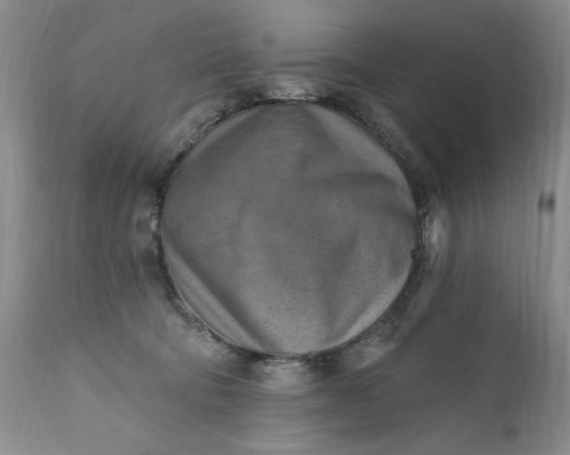 X0000111360322200907241228