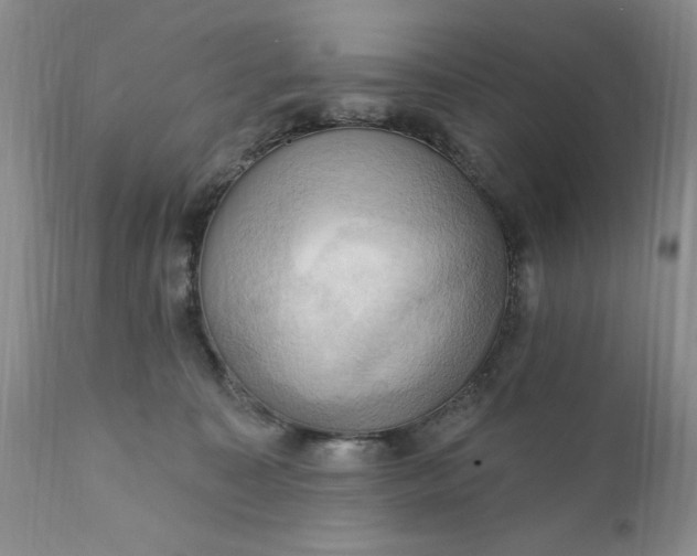 X0000111360323200907241228