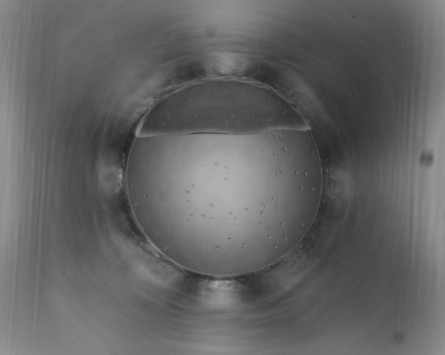 X0000111360324200907241228