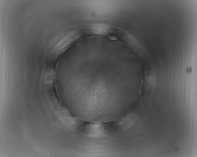 X0000111360325200907241228